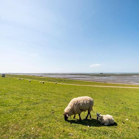 Hotel, Restaurant, Cafe Pharisaeerhof - Nordseeurlaub Mit Hund Нордстранд Екстер'єр фото