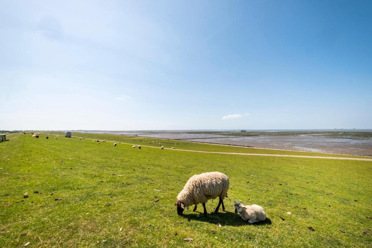Hotel, Restaurant, Cafe Pharisaeerhof - Nordseeurlaub Mit Hund Нордстранд Екстер'єр фото