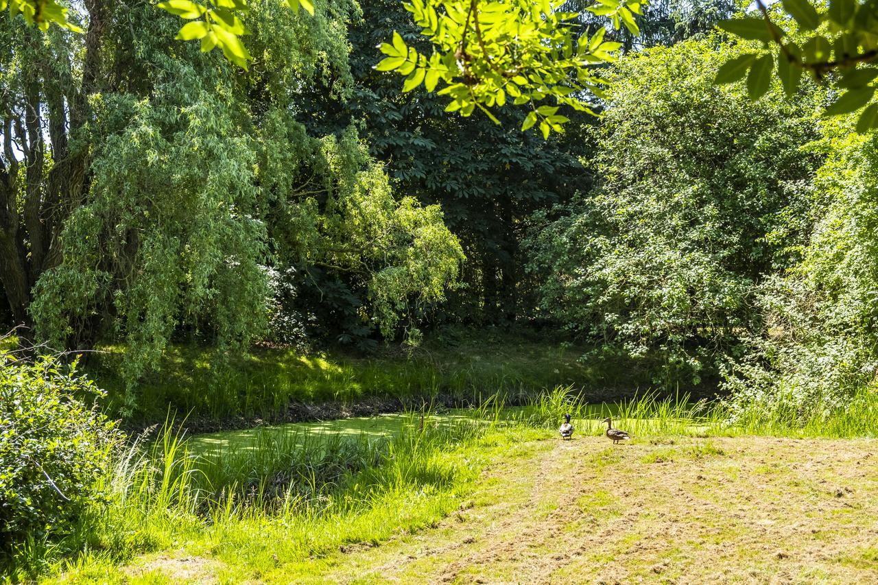 Hotel, Restaurant, Cafe Pharisaeerhof - Nordseeurlaub Mit Hund Нордстранд Екстер'єр фото